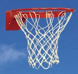 Bison Fast Break Residential Flex Basketball Goal