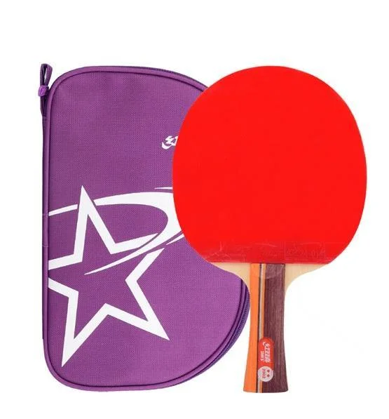 DHS T2002 Shakehand (FL) Racket Set